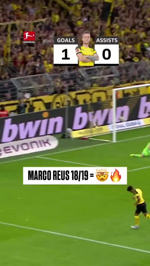 回憶殺！羅伊斯18/19賽季德甲快速回顧！精彩的一個賽季！