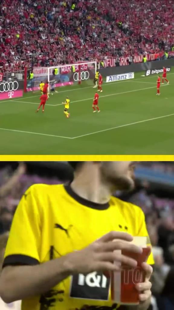 勇者無懼！這是真多特球迷！在拜仁球迷區一個人肆意慶祝！